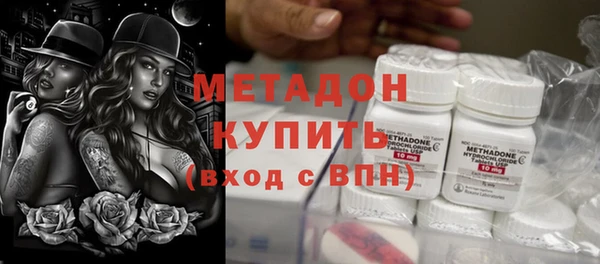 прущие грибы Абаза