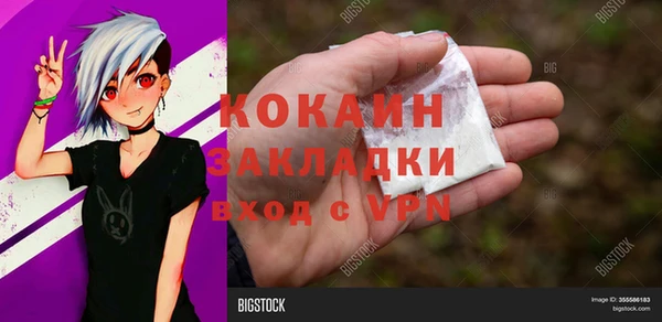 прущие грибы Абаза