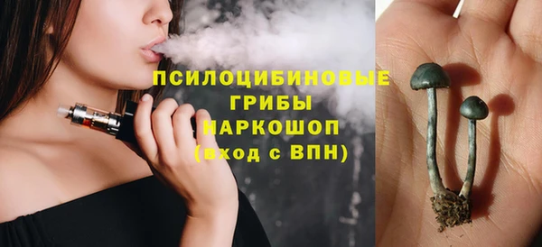 ГАЛЛЮЦИНОГЕННЫЕ ГРИБЫ Абдулино