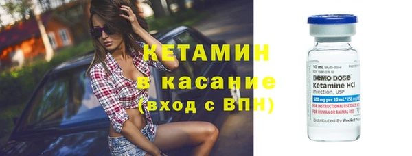 прущие грибы Абаза