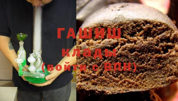 прущие грибы Абаза