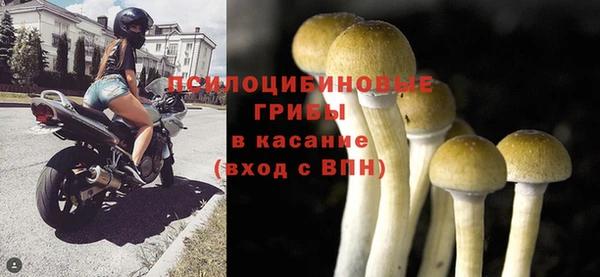 ALPHA PVP Пересвет