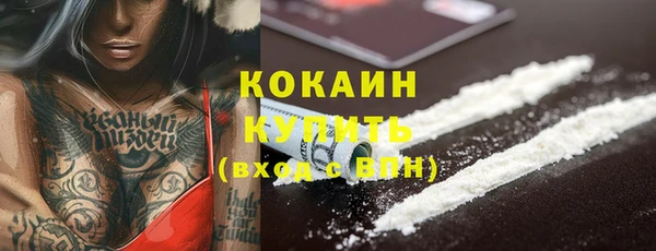 прущие грибы Абаза