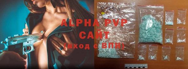 прущие грибы Абаза
